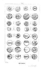 Akerman 1846, plate XXI, fig. 8, pp. 184–185, Plate XXI
