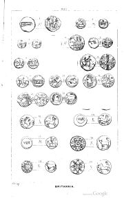Akerman 1846, plate XXII, fig. 11, p. 188, Plate XXII