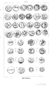 Akerman 1846, plate XXIV, fig. 3, p. 192, Plate XXIV