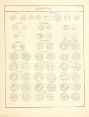 Ruding 1840, vol. III, plate App. XXIX, fig. 9, p. 300, Plate App. XXIX