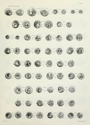 La Tour 1892, plate XIX, fig. 6337, p. Table des matières p. 3 (leaf n14), Plate XIX
