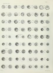 La Tour 1892, plate XX, fig. 6937, p. Table des matières p. 4 (leaf n15), Plate XX