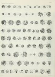 La Tour 1892, plate XXVI, fig. J. 29, p. Table des matières p. 5 (leaf n16), Plate XXVI