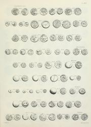 La Tour 1892, plate XXXII, fig. 7886, p. Table des matières (leaf n17); Muret & Chabouillet 1889 p. 182, Plate XXXII
