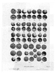 Roth 1912, plate V, fig. 115, p. 39, Plate V