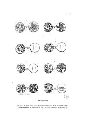 Poste 1861, plate I, fig. 1, p. Atlas pl. I, Plate I