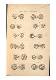Poste 1861, plate V, fig. 2, p. Atlas pl. V, Plate V