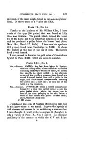 Evans 1890, plate XXII, fig. 1, pp. 561–562, p. 561
