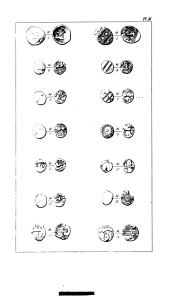 Evans 1890 (Supplement), plate M, fig. 9, pp. 460–461, Plate M