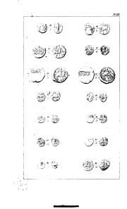 Evans 1890 (Supplement), plate XIX, fig. 3, p. 513, Plate XIX