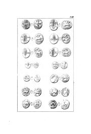 Evans 1890 (Supplement), plate XXII, fig. 8, pp. 565–566, Plate XXII