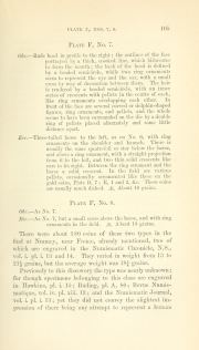 Evans 1864, plate F, fig. 7, pp. 105–107, p. 105