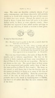 Evans 1864, plate G, fig. 4, pp. 114–115, p. 115
