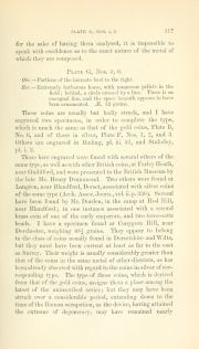 Evans 1864, plate G, fig. 5, p. 117, p. 117