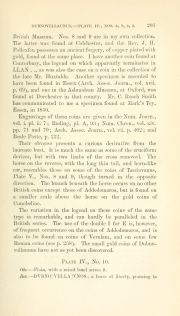 Evans 1864, plate IV, fig. 6, pp. 202-203, p. 203