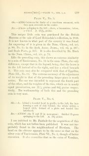 Evans 1864, plate V, fig. 6, p. 219, p. 219