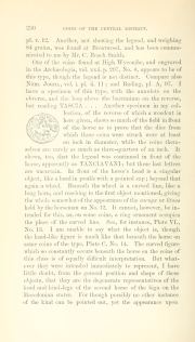 Evans 1864, plate V, fig. 9, pp. 229–231, p. 230