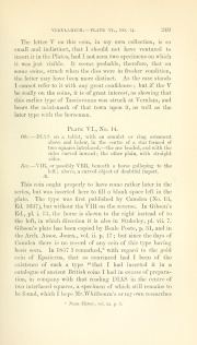 Evans 1864, plate VI, fig. 13, pp. 248–249, p. 249