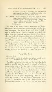 Evans 1864, plate XV, fig. 1, pp. 380–381, p. 381