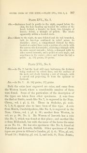 Evans 1864, plate XVI, fig. 7, p. 397, p. 397