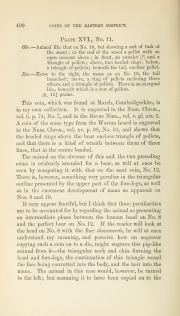 Evans 1864, plate XVI, fig. 11, pp. 400-401, p. 400