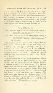 Evans 1864, plate XVI, fig. 11, pp. 400-401, p. 401