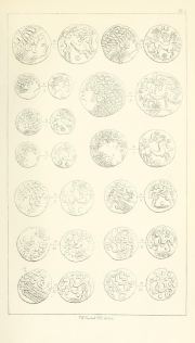 Evans 1864, plate A, fig. 4, p. 50, Plate A