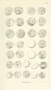 Evans 1864, plate B, fig. 5, pp. 60-62, Plate B