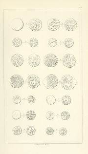 Evans 1864, plate D, fig. 5, pp. 83-84, Plate D