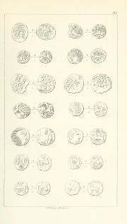 Evans 1864, plate G, fig. 2, pp. 112-113, Plate G