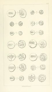 Evans 1864, plate II, fig. 9, pp. 172–174, Plate II