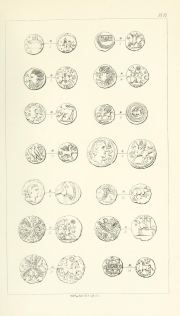 Evans 1864, plate VI, fig. 3, pp. 239–241, Plate VI