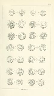 Evans 1864, plate VII, fig. 3, pp. 252-253, Plate VII