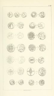 Evans 1864, plate VIII, fig. 12, pp. 280–281, Plate VIII