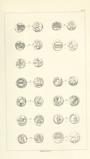 Evans 1864, plate X, fig. 9, pp. 310–312, Plate X