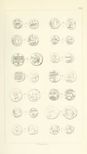 Evans 1864, plate XI, fig. 8, pp. 321–322, Plate XI