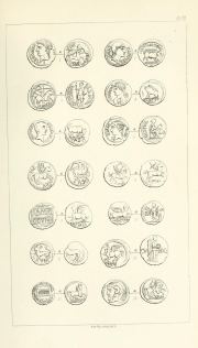 Evans 1864, plate XII, fig. 1, pp. 326–327, Plate XII