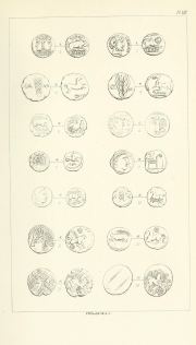 Evans 1864, plate XIII, fig. 1, pp. 344–346, Plate XIII