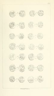 Evans 1864, plate XV, fig. 11, pp. 387-389, Plate XV