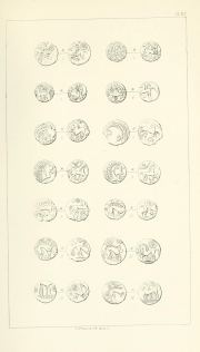 Evans 1864, plate XVI, fig. 9, p. 398, Plate XVI