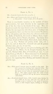Evans 1864, plate A, fig. 5, p. 52, p. 52