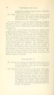 Evans 1864, plate A, fig. 13, pp. 57-58, p. 58