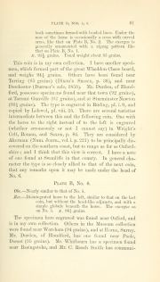 Evans 1864, plate B, fig. 5, pp. 60-62, p. 61