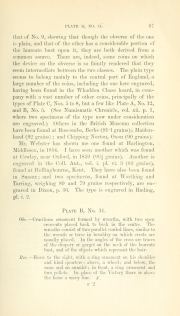 Evans 1864, plate B, fig. 10, pp. 66-67, p. 67