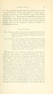 Evans 1864, plate C, fig. 2, p. 71, p. 71