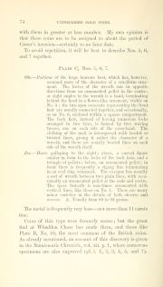 Evans 1864, plate C, fig. 5, pp. 73–75, p. 73