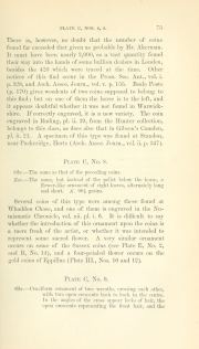 Evans 1864, plate C, fig. 5, pp. 73–75, p. 74