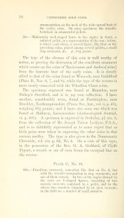 Evans 1864, plate C, fig. 5, pp. 73–75, p. 75