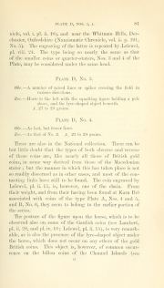 Evans 1864, plate D, fig. 3, p. 81, p. 81