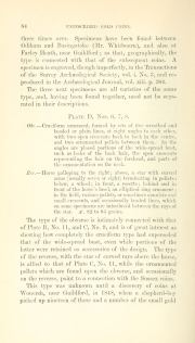 Evans 1864, plate D, fig. 5, pp. 83-84, p. 84
